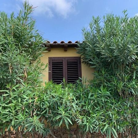 Villa Maveda, Un Dammuso Immerso Nel Verde Lampedusa Kültér fotó