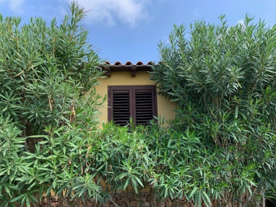 Villa Maveda, Un Dammuso Immerso Nel Verde Lampedusa Kültér fotó