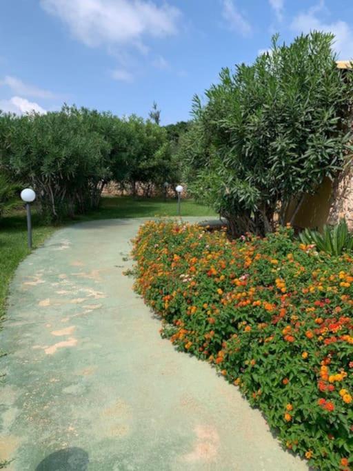 Villa Maveda, Un Dammuso Immerso Nel Verde Lampedusa Kültér fotó