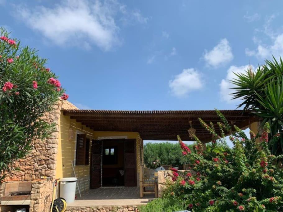 Villa Maveda, Un Dammuso Immerso Nel Verde Lampedusa Kültér fotó